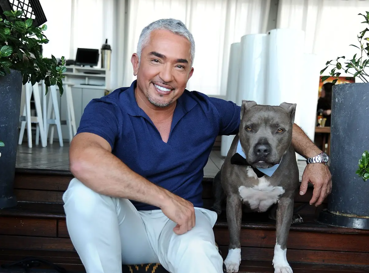 Cesar Millan Net Worth