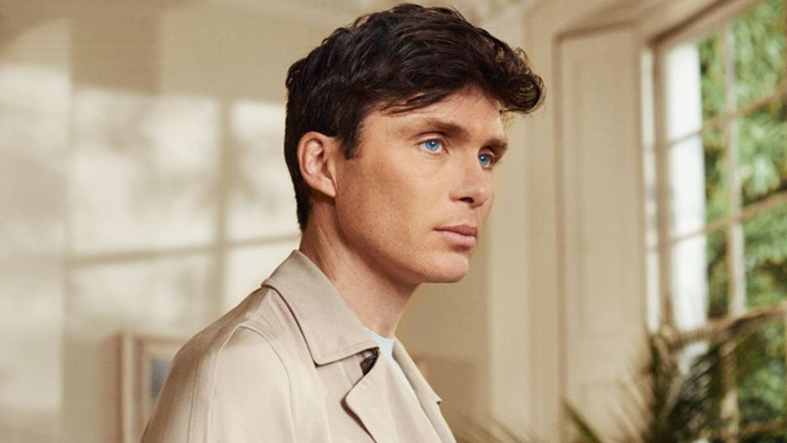 Cillian Murphy Net Worth