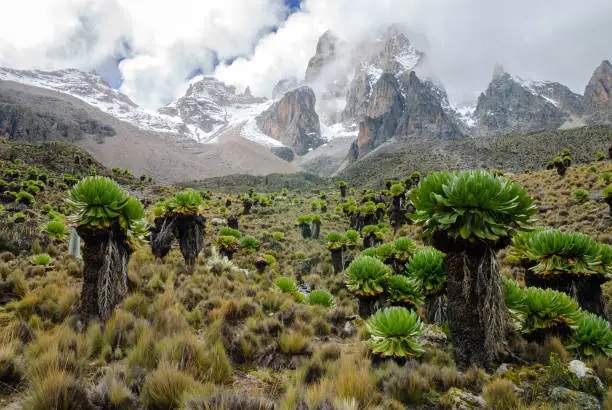 Mount Kenya