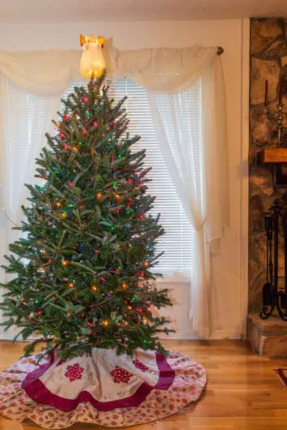 Fraser Fir: Types Of Christmas Trees