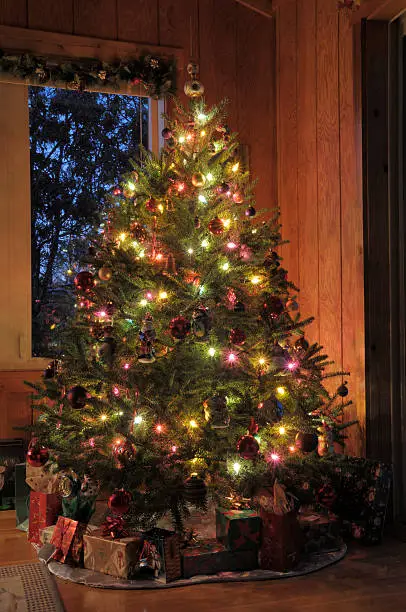 Balsam Fir: Types Of Christmas Trees