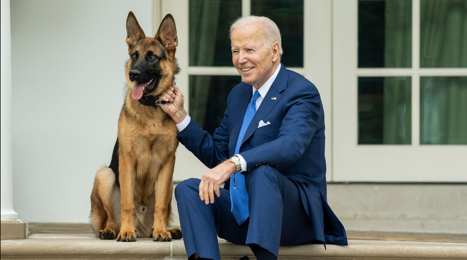 Собаку обвинили. Байден с собакой. Собака президента. Собаки президента России. Командер Байден.
