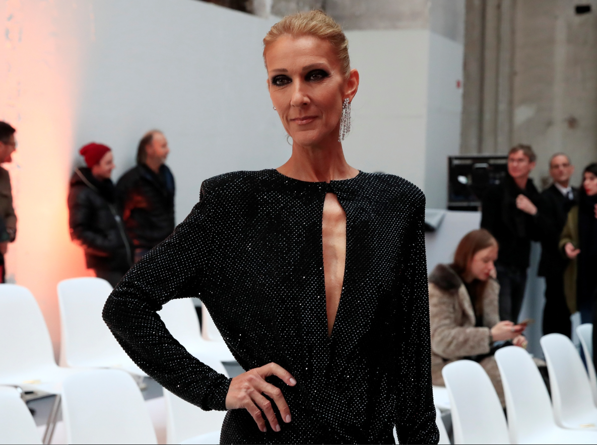 Celine Dion's Net Worth KahawaTungu