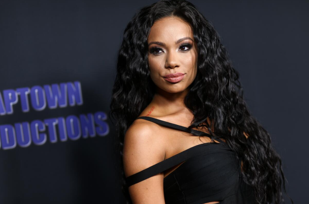 Erica Mena net worth