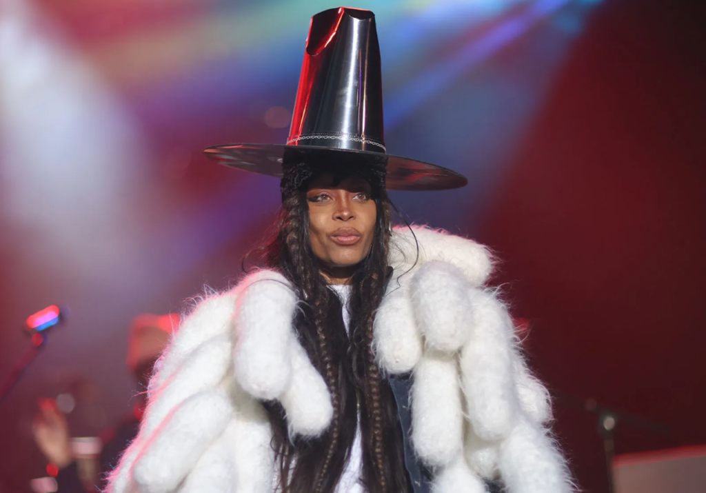 Erykah Badu Net Worth