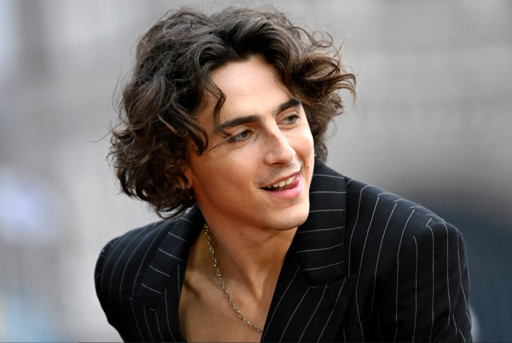 Timothée Chalamet Net Worth KahawaTungu