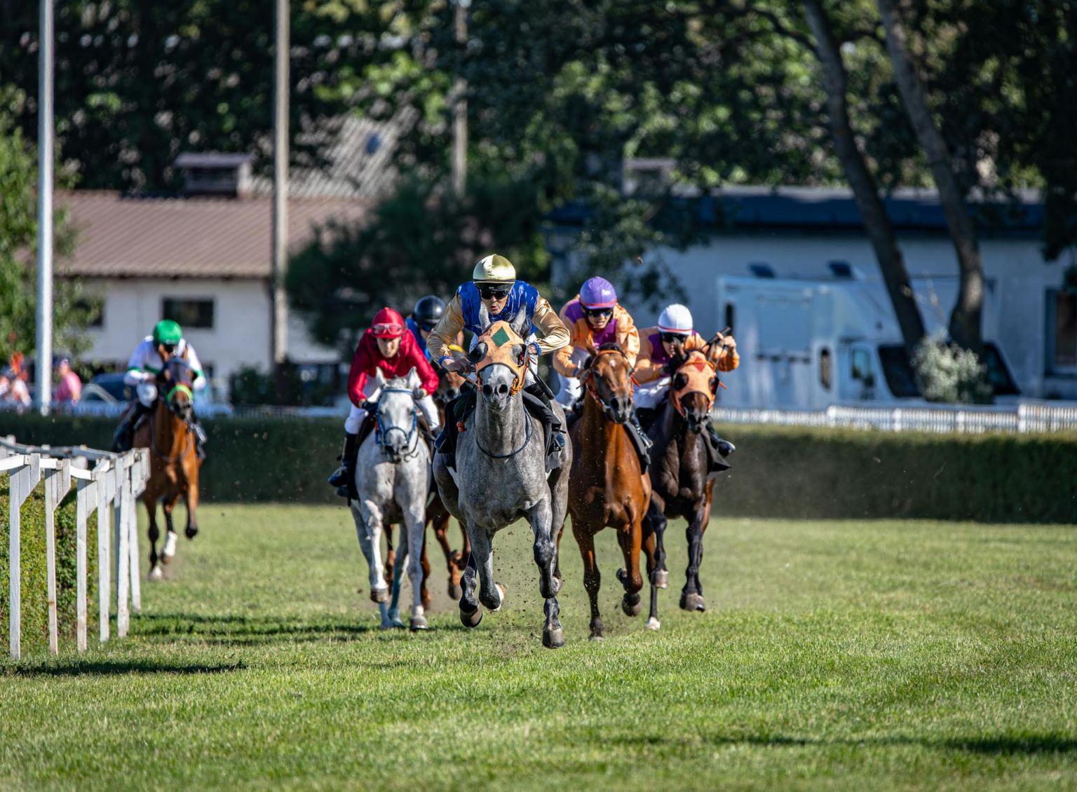 Fierceness Maintains His Lead in Breeders' Cup Classic KahawaTungu