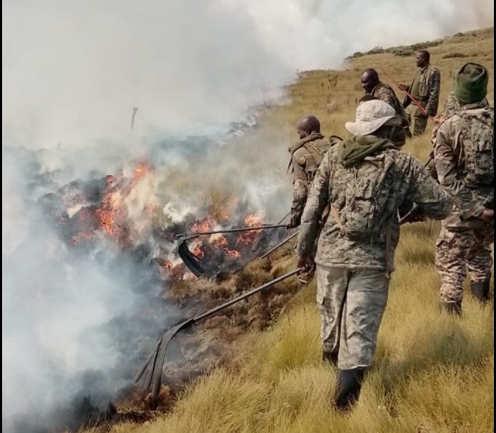 Multiple Parks affected by fire amid dry season, KWS says