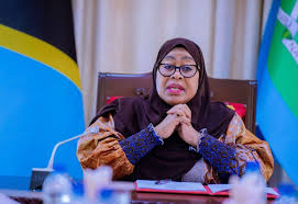 Tanzania president promises probe into election protest deaths