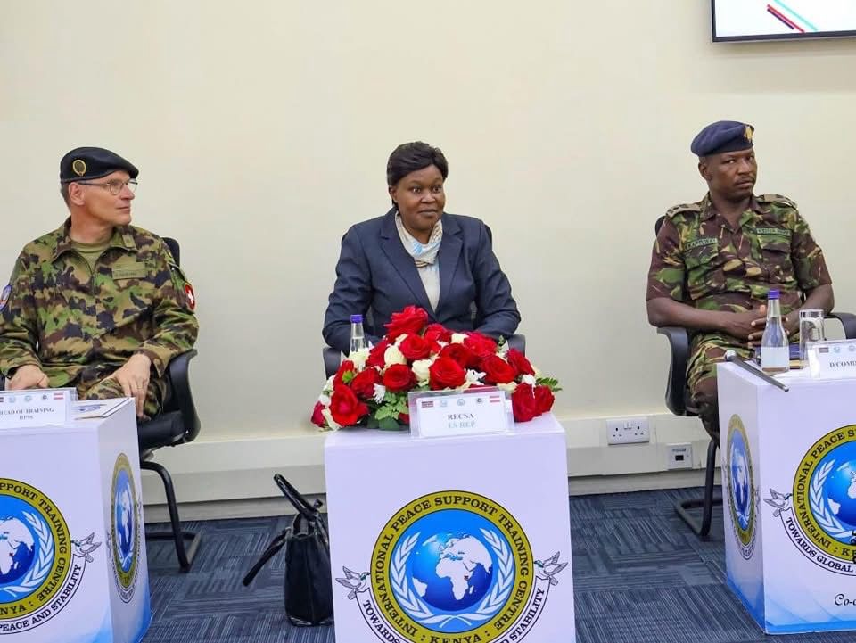 Involve Women In Control Of Arms And Disarmament For Effectiveness, Official Says