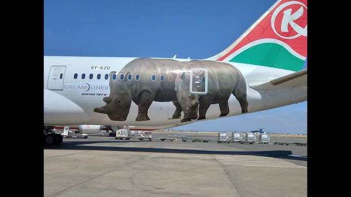 Passenger collapses and dies on board Kenya Airways flight from New York to Nairobi Passenger collapses and dies on board Kenya Airways flight from New York to Nairobi