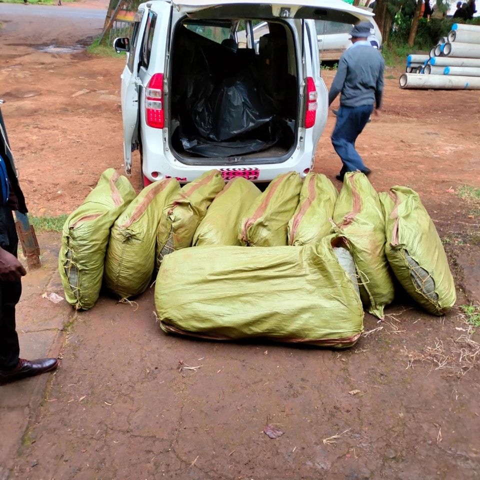 Two Arrested In Limuru With 9 Sacks Of Bhang