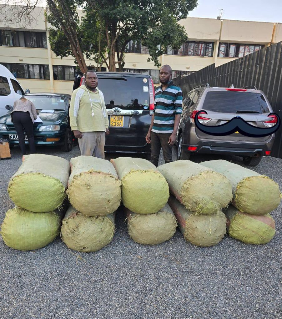 Police Seize Sh7.5 Million Worth Of Bhang In Machakos, Two Arrested