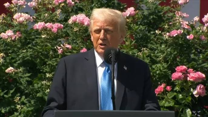 Russia and Ukraine to ‘immediately’ start ceasefire talks, says Trump