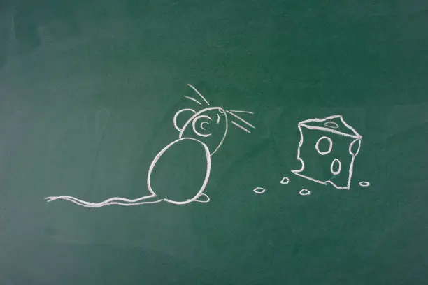 How To Draw A Rat How To Draw A Rat