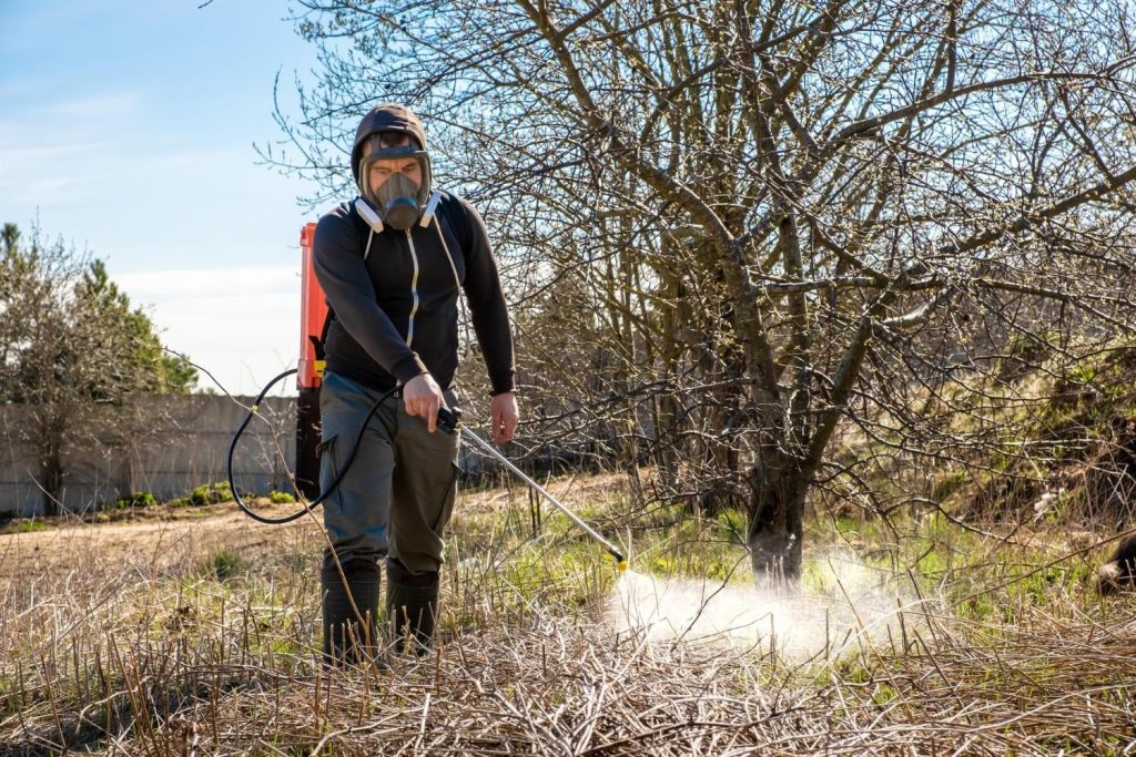 How Pest Control Helps Prevent Seasonal Invasions