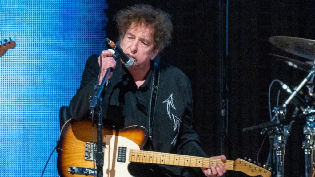 Bob Dylan Siblings: Getting to Know David Zimmerman