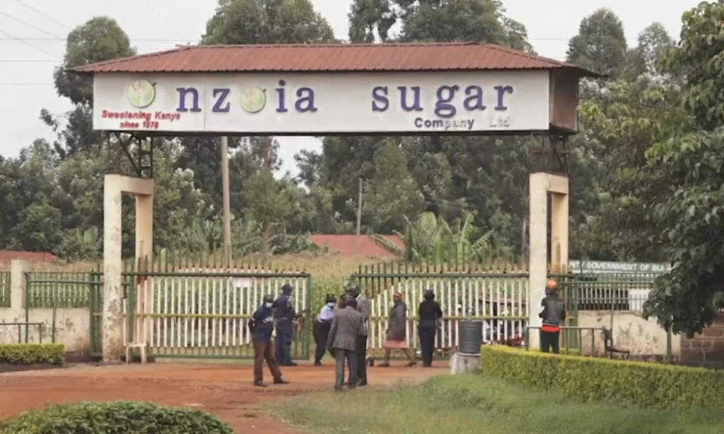 nzoia sugar lease