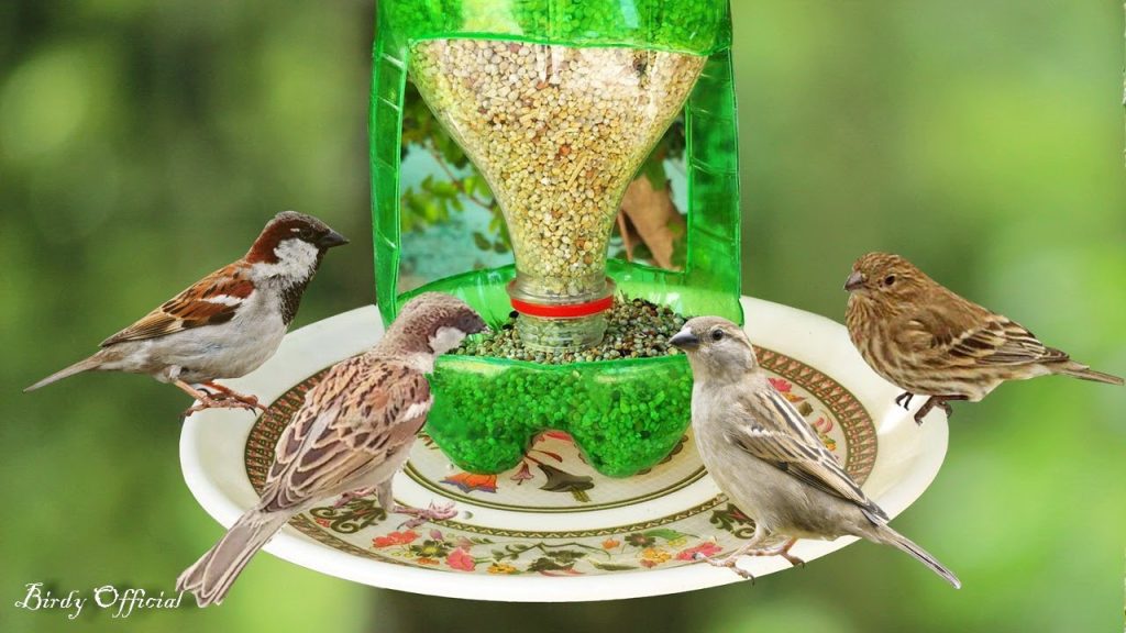 How To Make A Bird Feeder From A Plastic Bottle How To Make A Bird Feeder From A Plastic Bottle
