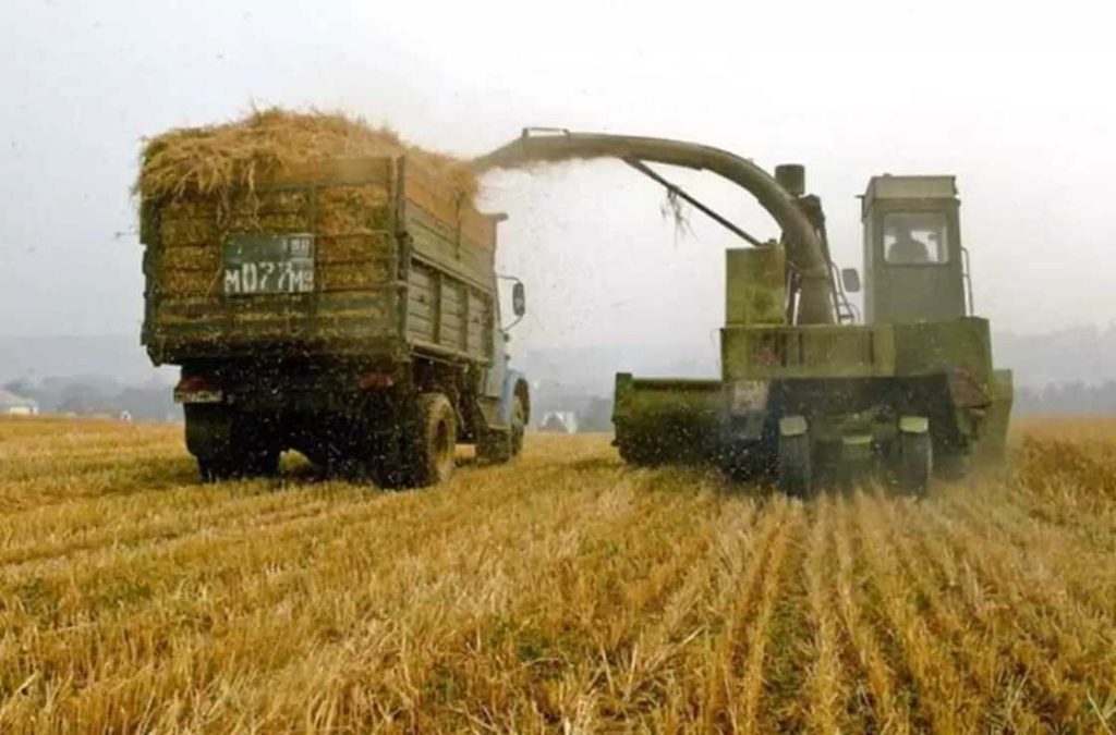 Govt Sets Minimum Wheat Prices For 2025/2026 Season