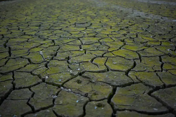 How To Prevent Desertification How To Prevent Desertification