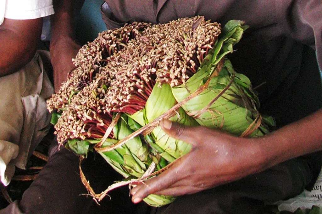 Kenya Secures New Miraa Market In Djibouti