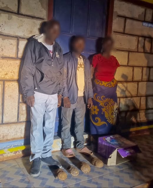 Three Arrested With Live Pancake Tortoises In Tharaka-Nithi