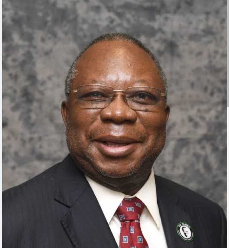 SA High Commissioner to Kenya Mninwa Johannes Mahlangu dies on way to hospital