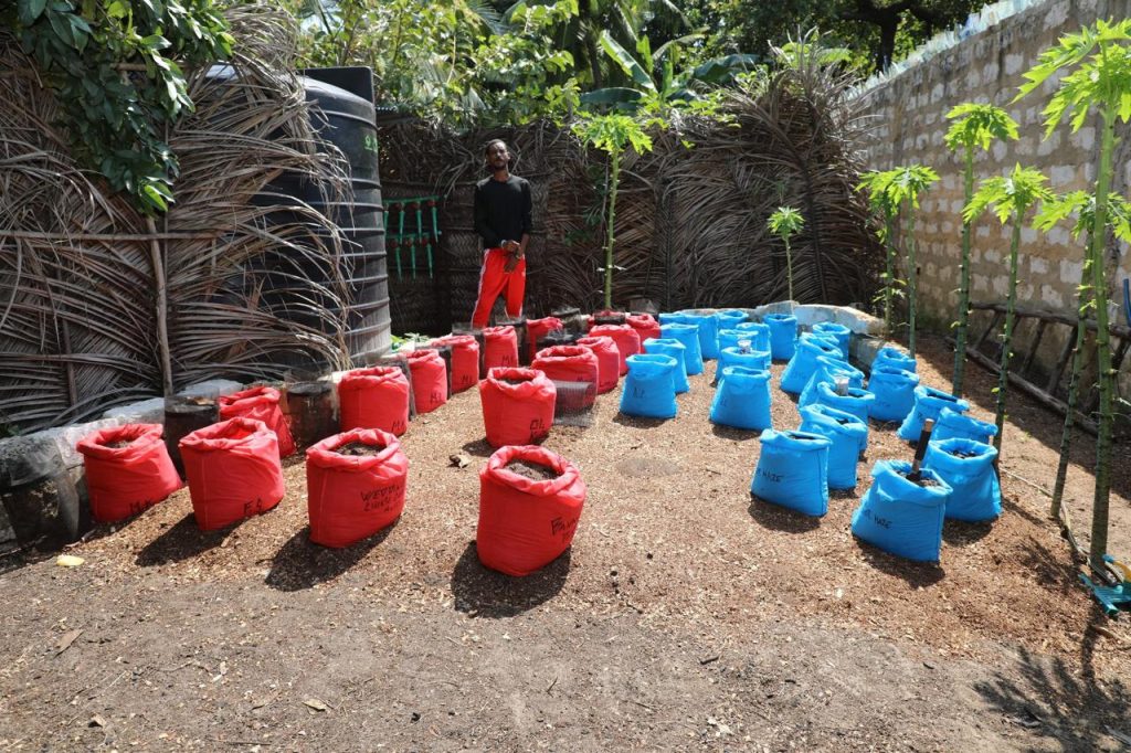 Police uncover clandestine drug lab, arrest two in Diani diani drug lab