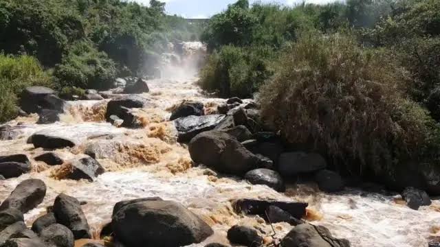 Woman dies by suicide after jumping into River Yala