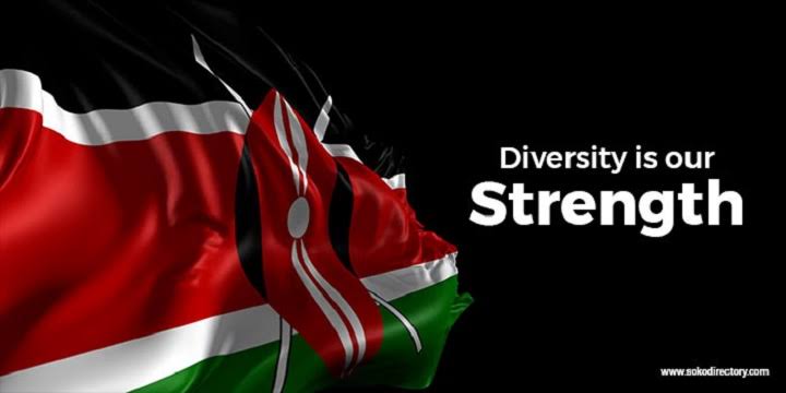 Guarding the republic: The urgent case for responsible leadership and national cohesion