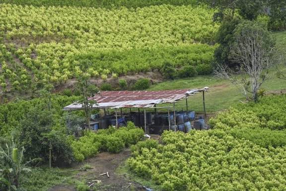 US designates Colombia as country ‘failing to cooperate in drug war’