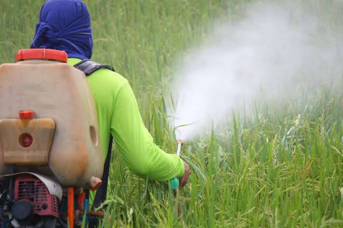 Group sues over usage of pesticide in Kenya