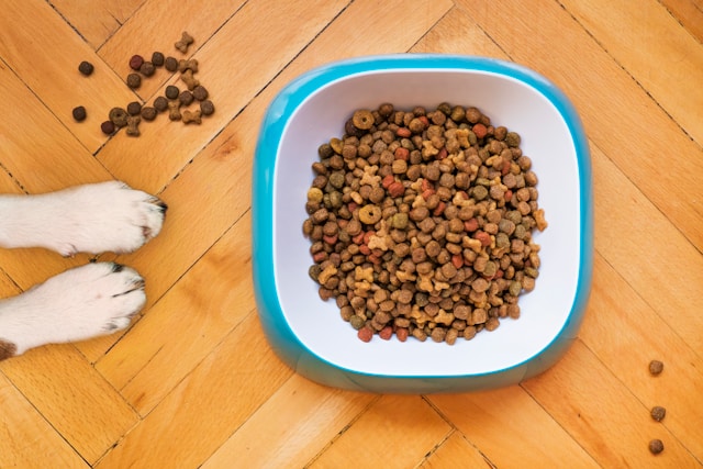 7 Benefits of Switching Your Pup to Air Dried Dog Food Benefits of Switching Your Pup to Air Dried Dog Food
