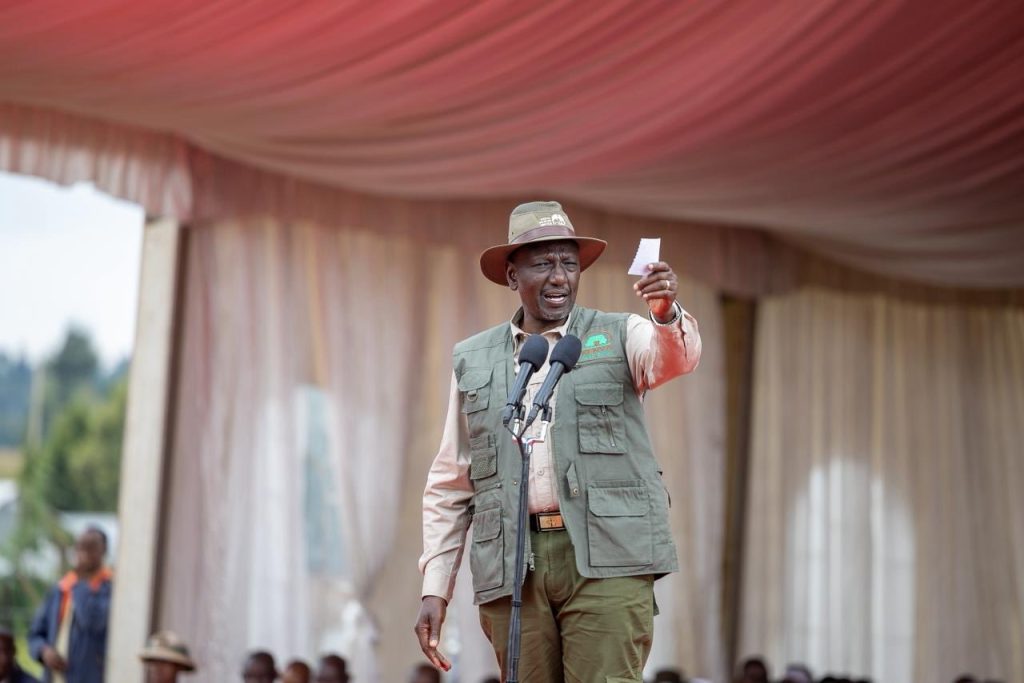 Ruto lifts logging ban to allow harvesting of mature trees Ruto lifts logging ban to allow harvesting of mature trees