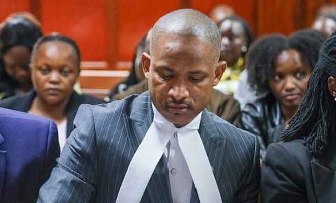 MP Babu Owino, LSK move to court to bar CSs from engaging in political activities