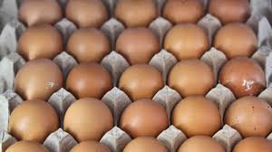 Egg recall expands over salmonella concerns Egg recall expands over salmonella concerns