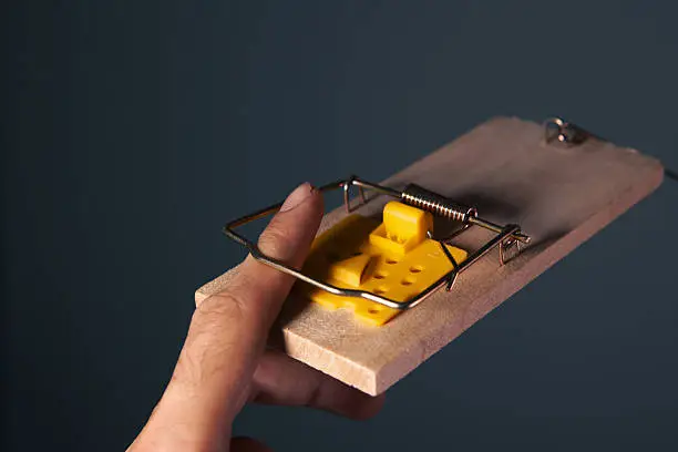 How To Build A Mousetrap How To Build A Mousetrap