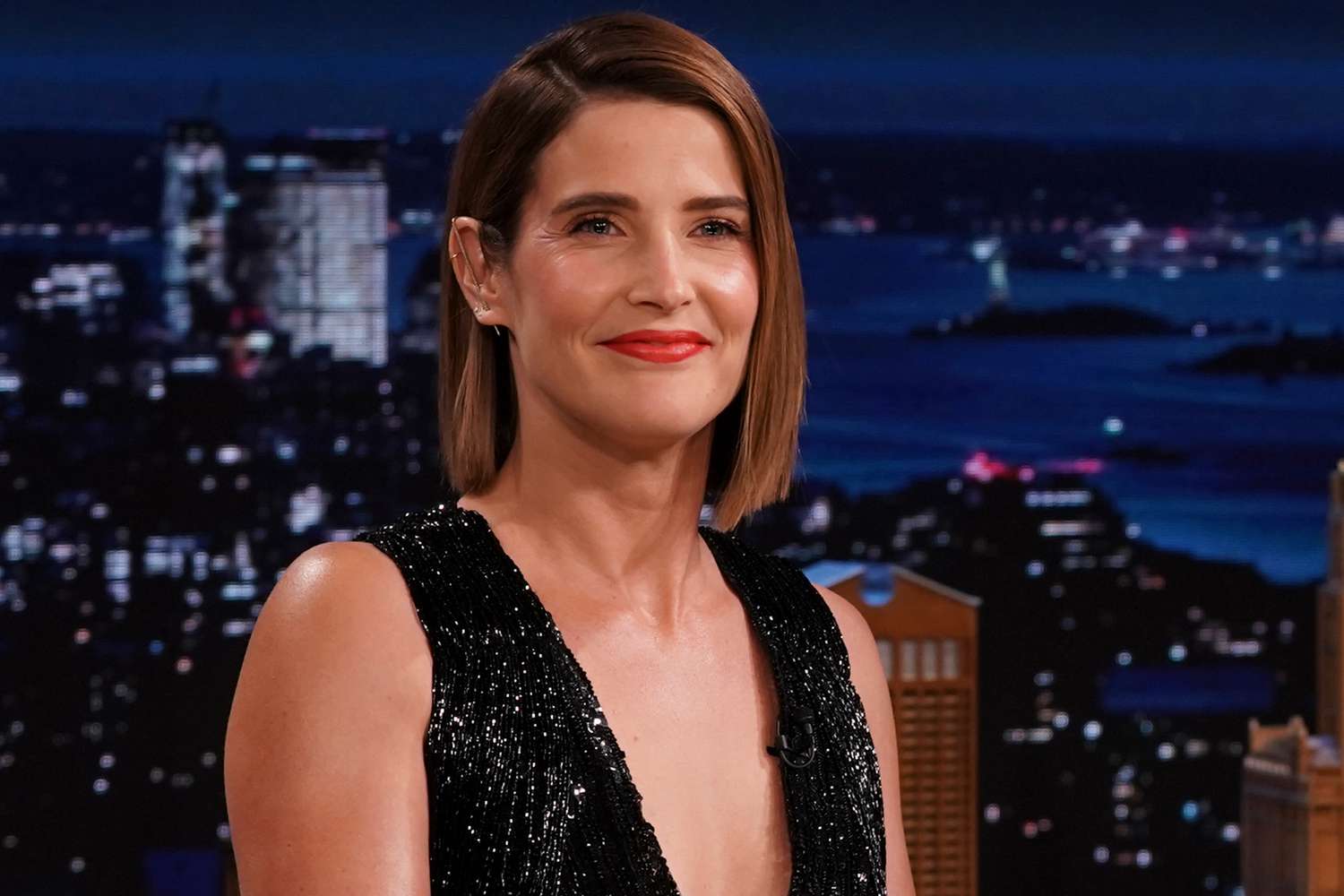 Cobie Smulders Net Worth