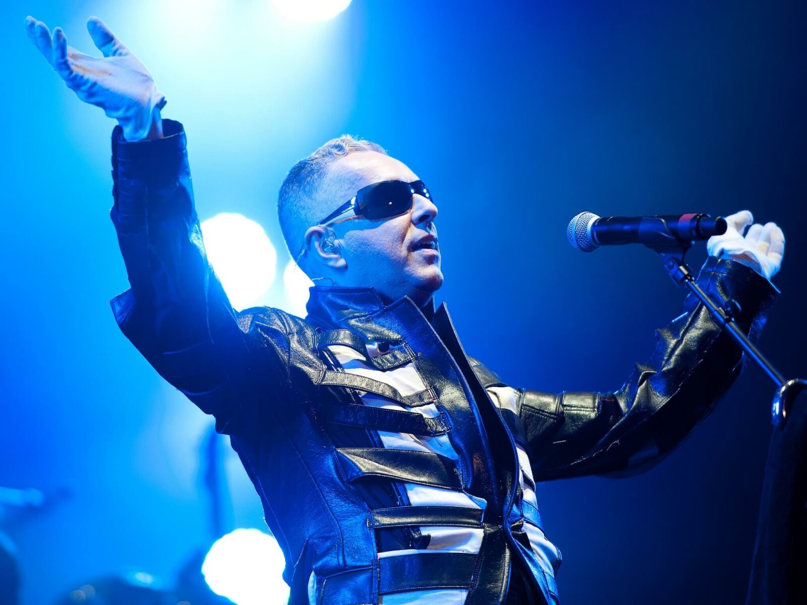 Holly Johnson Net Worth