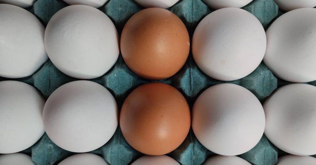 The Shift to Simplified Nutrition: How Natural Protein Sources Are Changing the Game The Shift to Simplified Nutrition