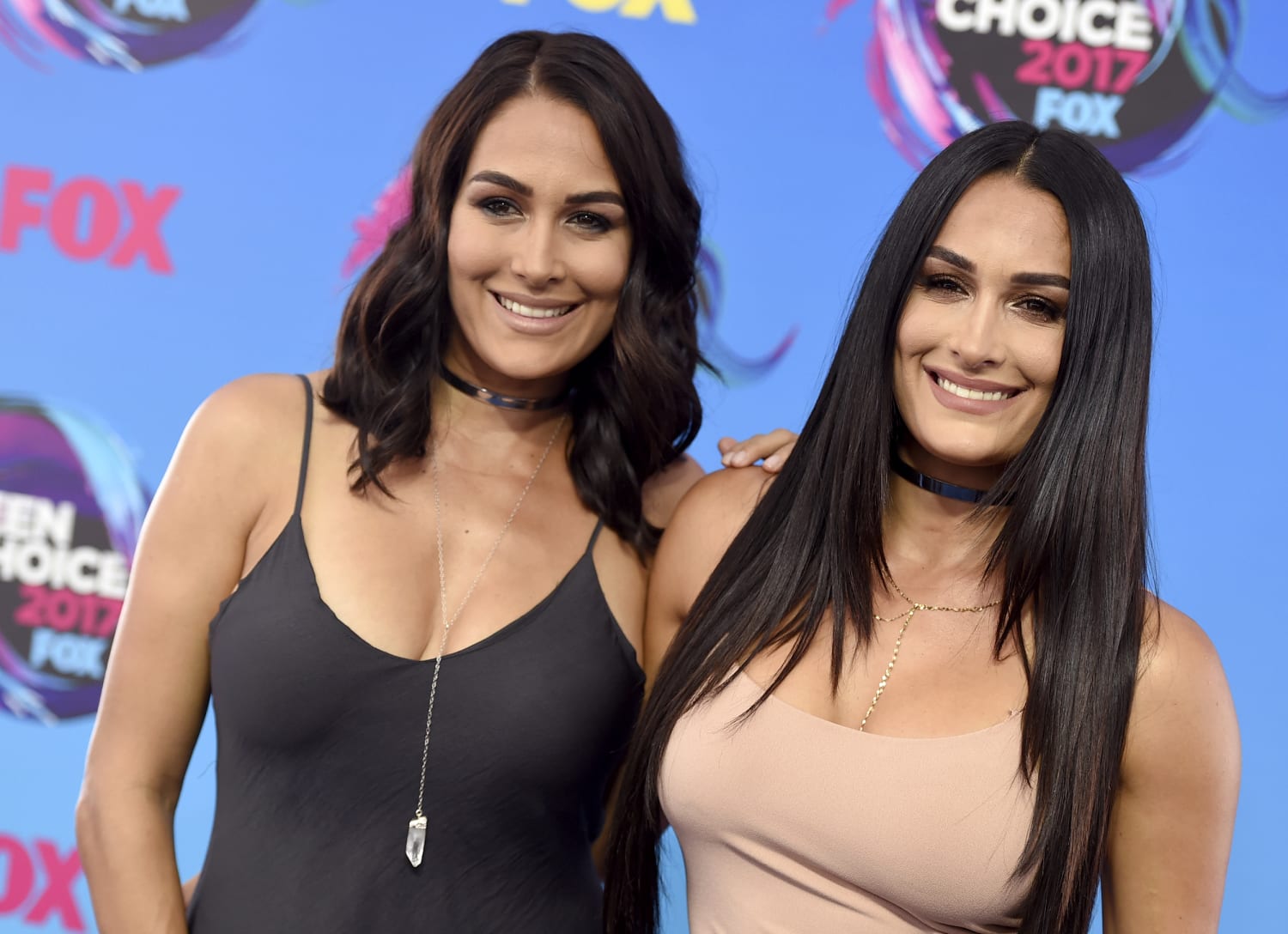 Bella Twins Net Worth