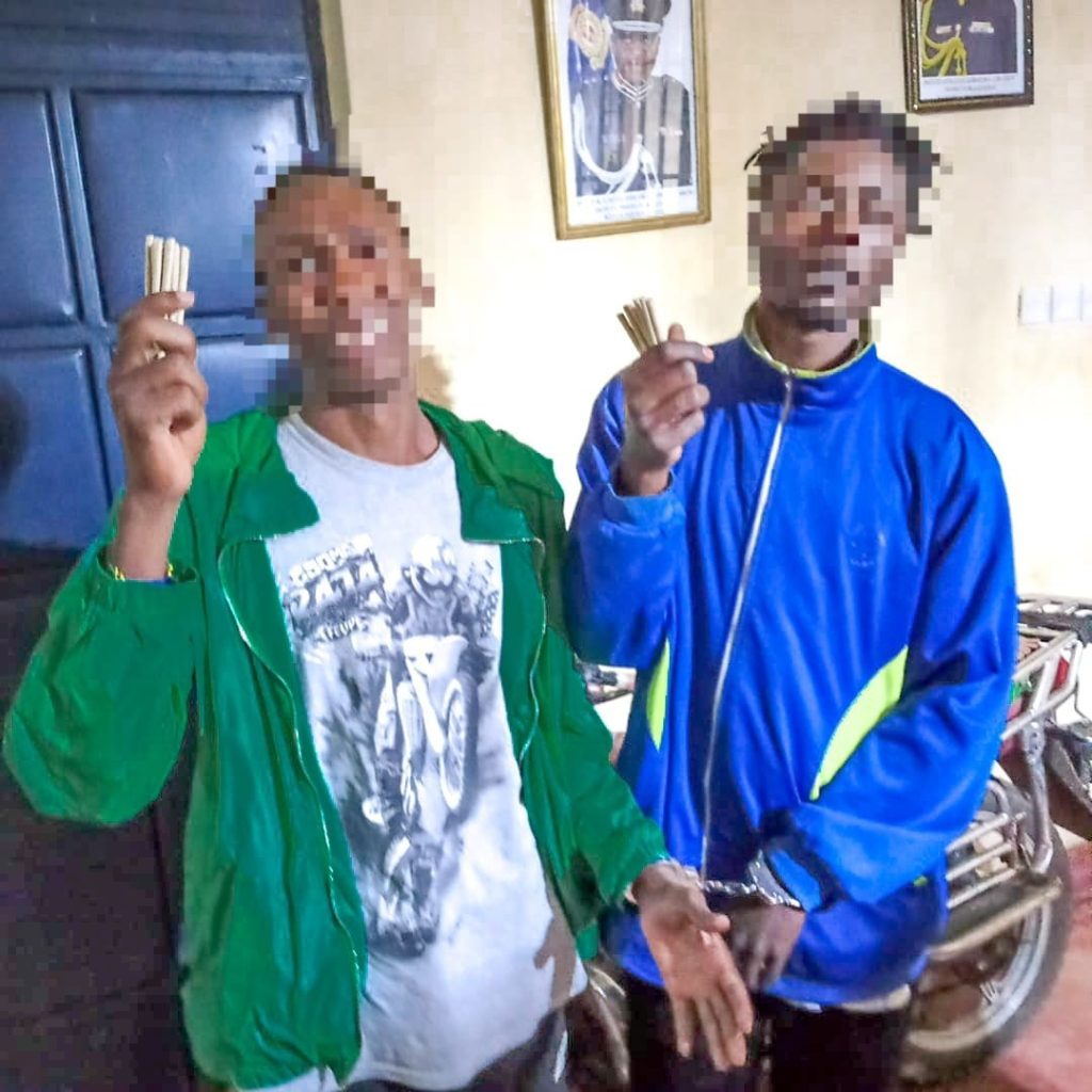 Several Arrested as Police Recover Bhang in Separate Operations