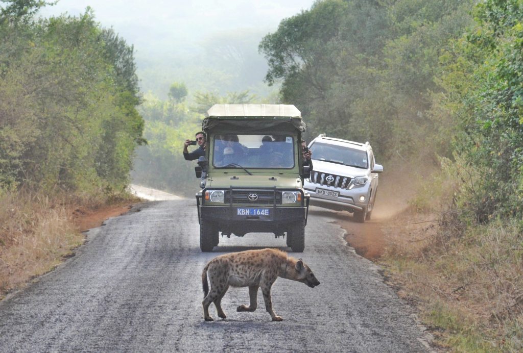 Some Kenyans to Enjoy Free Entry to National Parks Before Year-End Some Kenyans to Enjoy Free Entry to National Parks Before Year-End