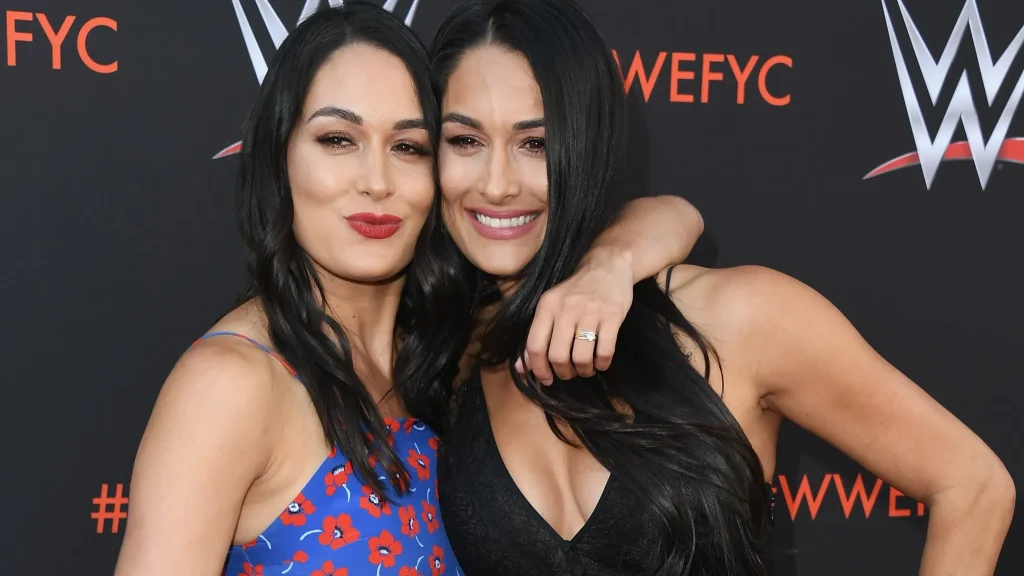 Bella Twins Net Worth