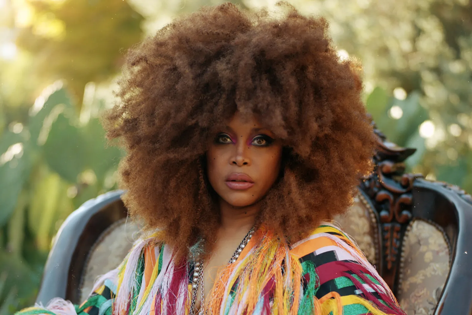 Erykah Badu Net Worth