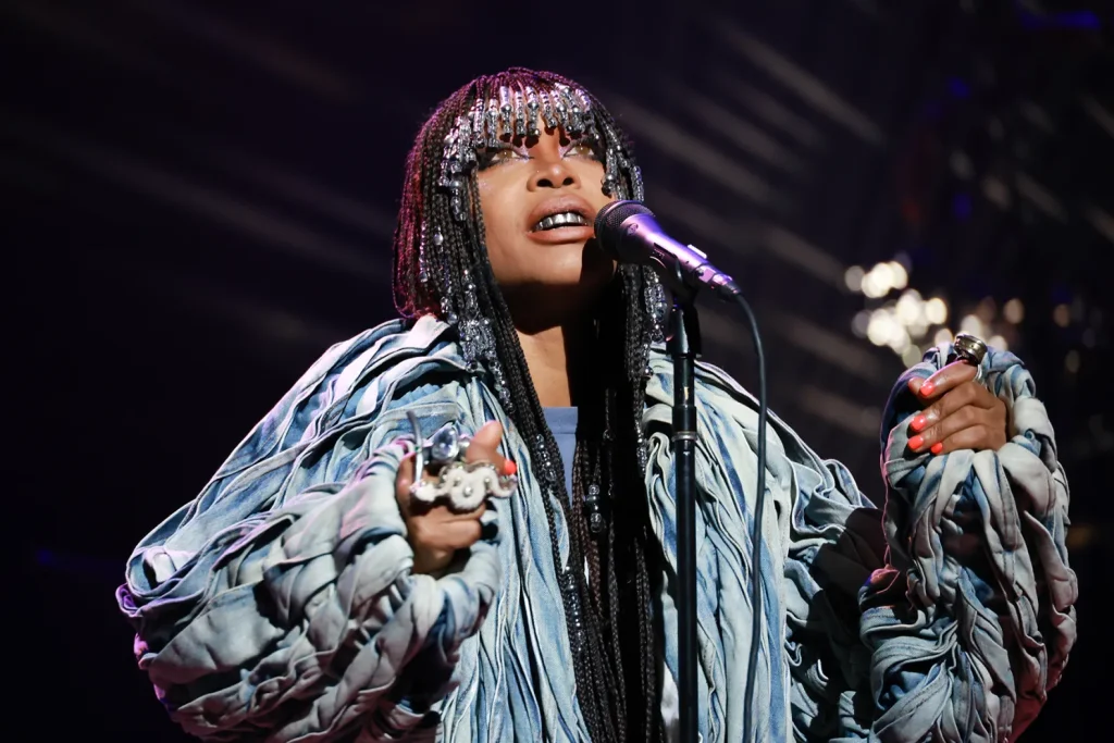 How Erykah Badu Increased Her Net Worth Erykah Badu net worth
