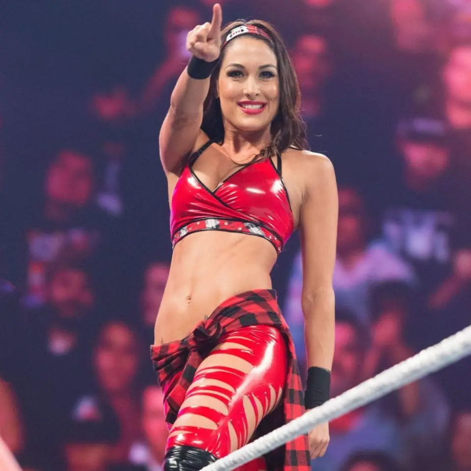 How Brie Bella Increased Her Net Worth Brie Bella Net Worth