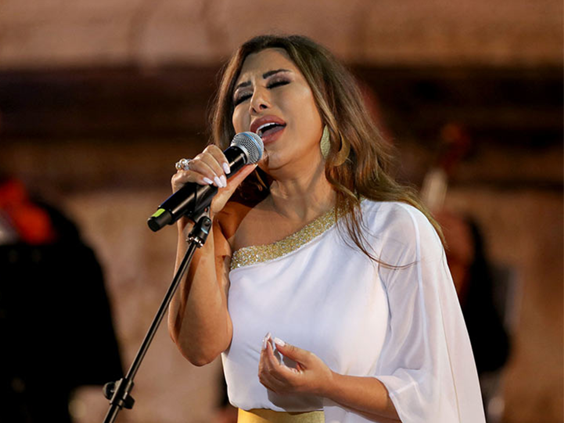 Najwa Karam Net Worth