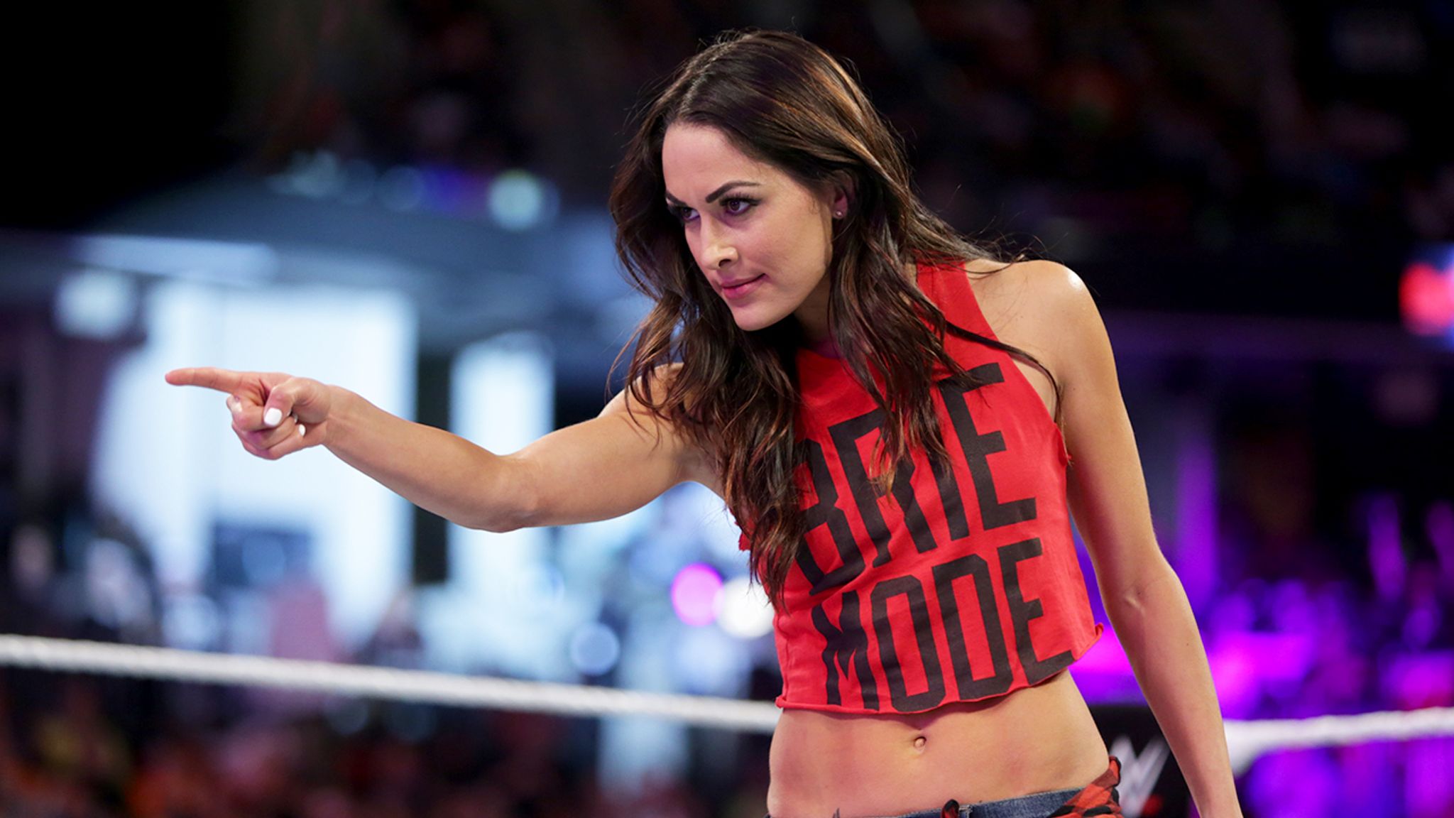 Brie Bella Net Worth